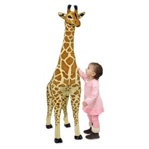 giraffe-731751