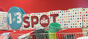 the-one-spot-target