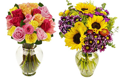 How To Store Cut Flowers Overnight / The Ultimate Bouquet Gorgeous Blue Rose Bouquet in Clear ... - With fierce competition from countries with more tropical climates, as well as local commercial wholesalers, it's hard to price your flowers competitively.